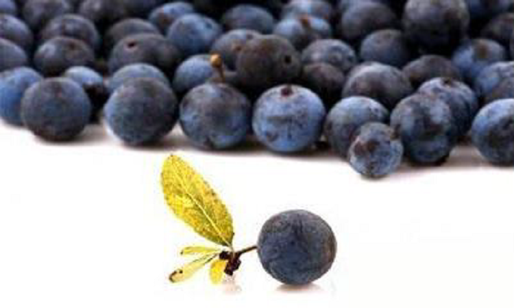 MK网官方站网页版_MK(中国)